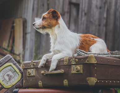שני דברים שחשוב לזכור כששינוי משמעותי מתרחש בחיינו