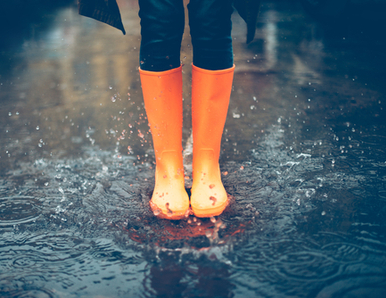 משקעים מהסוג הטוב – 7 סיבות נהדרות לאהוב את הגשם