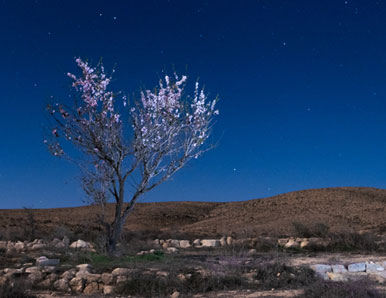 הצד האפל של כדור הארץ דווקא נראה מעולה – סדרת צילומים חושפת את העולם בלילה