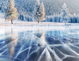 12 ציטוטים שחוגגים את החורף – כשעוצמת הטבע מגלה את צידה האלגנטי