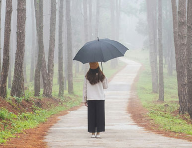 10 ציטוטים על נפלאות האינטואיציה