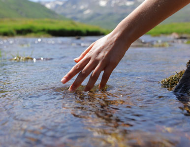 החוש ששומר אותנו מחוברים למציאות
