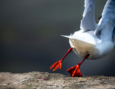 10 ציטוטים על האומנות של לפרוש בזמן