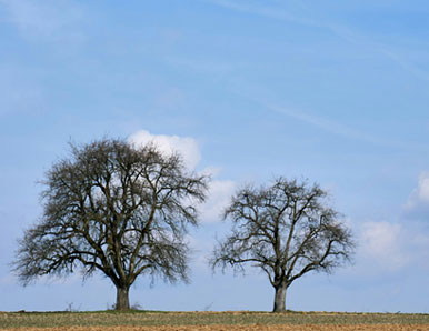 הזיכרון שלא ביקשנו לזכור
