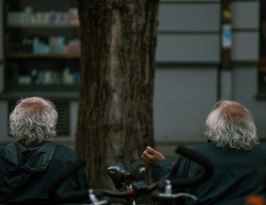 השיחה שמעולם לא התקיימה בין איינשטיין ואפלטון