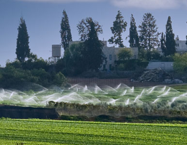 הגיאוגרפיה של הנפש – מה באמת הופך מקום לבית?