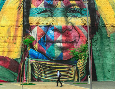 מבנה המוח כמבנה התרבות